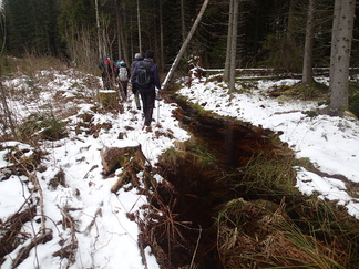 Aarinnansuon polku noudatteli osan matkaa kurun pohjalla kiemurtelevaa ojaa.