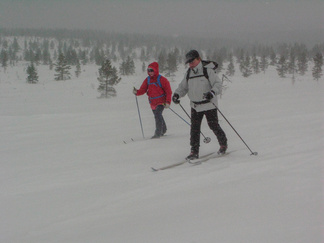 Maanantaina hiihti osa joukostamme Niilanpään porokäpälle.