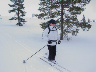 Porokämpältä hiihtoretki jatkui Muotkan majan suuntaan mukavasti alaspäin viettävää latu-uraa pitkin.
