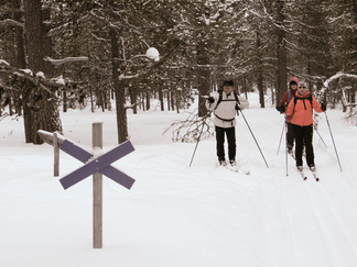 Ruijanpolun risteyksestä käännyimme kohti Sivakkaojan laavua.