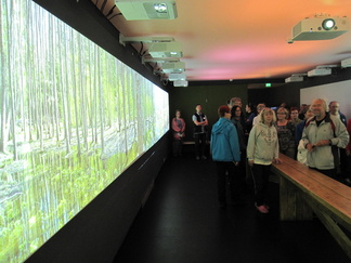 Viherkehänäyttelyssä useilla projektoreilla heijastetaan seinäpinnolle suurikokoista kuvaa maisemasta. Paikat ja vuodenajat vuorottelevat.