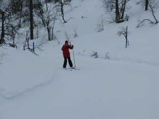 Ässämutka Rumakurun ladulla