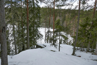 Tässä ollaan Piilolammen koillispuolen kallioilla. Tuolla kohtaa on kalliosta louhittu mustaa gabrokiveä. Gabroa on veistetty hautakiviksi sekä patsaiksi