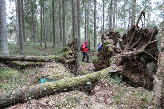 ..ja lasikuituvene kettingillä kuuseen kytkettynä. Vene pilkottaa sammalen alta.