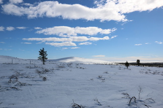 ...siis heti Kiilopäälle päästyämme lähdimme laduille.