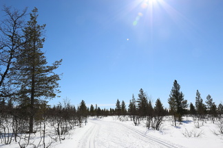 Melkoisen kirkas taivas!