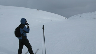 Kuutamokurun yläpää.