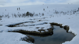 Aikoinaan, kun tunturiojija kaivettiin, maksettiin ojurille metripalkkaa. Siksi niistä tuli mutkaisia. No! Vitsivitsi!