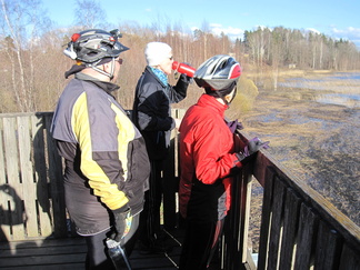 Navakan tuulen vuoksi linnut pysyttelivät poissa näkyvistä. Toki lokit liitelivät ja harjoittelivat taitolentoa rannan tuntumassa.