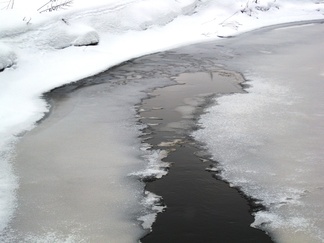 Karhu lienee jo kääntänyt pesässään kylkeä. Kevät on kohta käsillä! 
