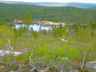 Paluumatka alkoi. Viimeiset silmäykset Luulammen suuntaan