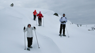 Kuruissa lumi kinostuu paksuksi hangeksi.