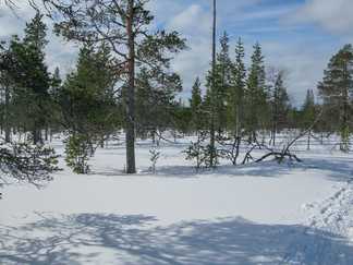 Upeassa auringonpaisteessa matka joutui.
