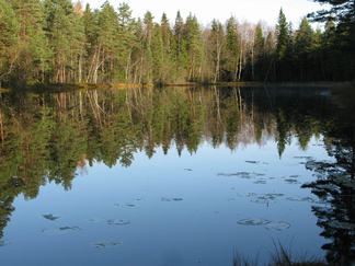 Kaksoislammista pohjoisen puoleinen.