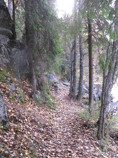 Rantapolku Piilolammilla