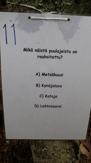 Huomasimme maastossa jonkinlaisen, tilapäisen luontopolun.