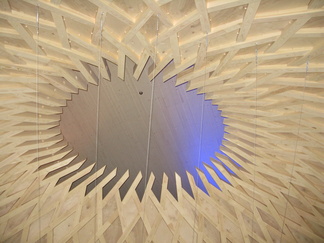 Sotkan munan laella on reikä