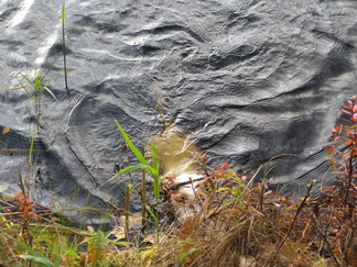 ...onkin porukan rohkein.