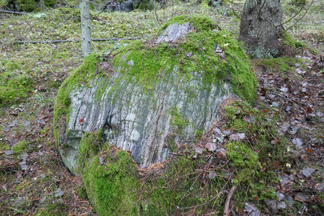 Vuorenniityn takamailla