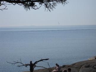 Taustalla häämöttää nykyään Venäjälle kuuluva Somerin saari. Kuvaaja on onnistunut vangitsemaan havunneulasen putoamisen männystä.