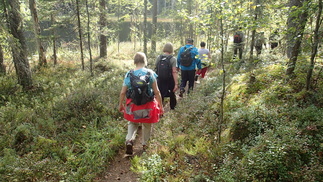 Polkumme johti Yliseltä Aliselle Lortikkalammelle.