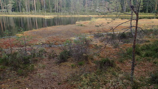 Kuoriaisen rannat olivat saaneet jo syysväriäkin.