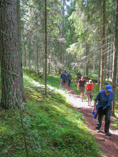 Nousimme saaressa korkeimmalle kukkulalle halki ikimetsän
