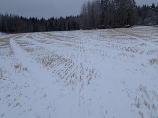 Korsilatu Latu-Miiluun.