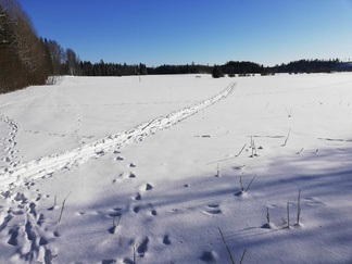 Hyyppärän ja Veikkarin välillä oli ainoastaan luomulatu.