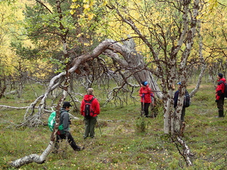 Tunturien rinteillä on jo aiemminkin olleet ankarat olosuhteet.