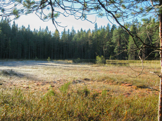 Iso-Karhulammen rannalla