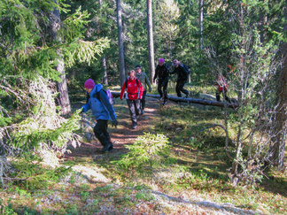Matkaan! Kohti Iso-Kypärälampea
