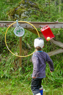 Tarkkuusheitoista on tässä kysymys