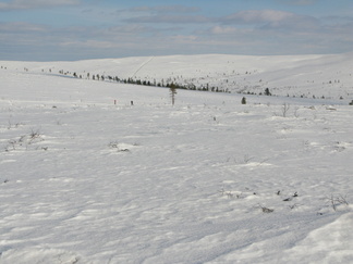 Kuvan keskellä poroaita nousee Ahopään rinnettä kohti Luulampea.