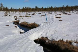 Ahopään takana on puolentoista kilometrin mittainen ladunpätkä, josta pääsee oikaisemaan kohti Vahtamapäätä. Puro, jonka yli latu johtaa on nimeltään Laanioja.