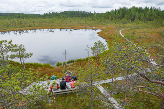 Haapasuon lintuturni on nimettömän suolammin koilliskulmassa