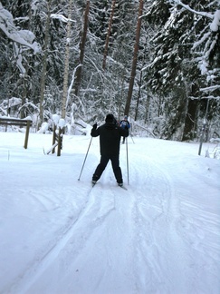 Sveitsin majalta lasketeltiin alamäkeen..