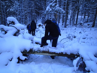 Luontopolut tarjoavat siellä täällä oivan mahdollisuuden jäsenien venyttelyyn.