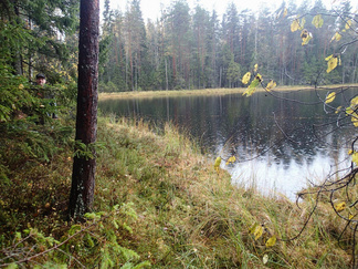 Toinen kuvakulma Pikku-Usmilla