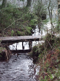 Piilolammin vedet jatkavat Piilo-ojan uomassa kohti valtameriä...