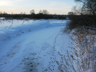 Vantaa jäätyy.