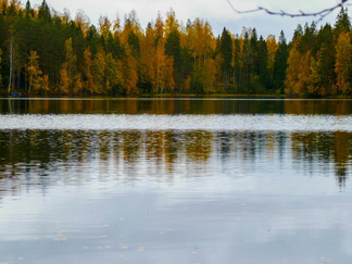 Urojärvi