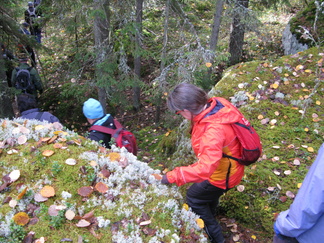 Kallioiden välistä...