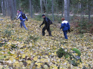 Metsään on tullut jo syys!