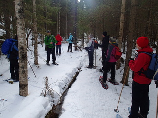 Ovatko kaikki paikalla?