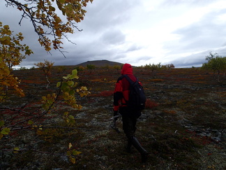Keskiviikkona suunnattiin huiputtamaan Ahkovarri.
