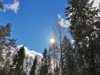 Sää muuttui päivän kuluessa sateisesta aurinkoiseksi