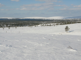 Ahopäältä pohjoiseen on näkymä tämänlainen. Vasemmassa reunassa näkyy Kaunispään huippu. Keskemmällä Iisakkipää ja Vahtamapäät.
