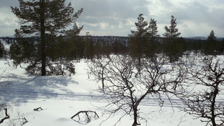 näpäyttämällä kuvaa saat sen näkymään suurempana
