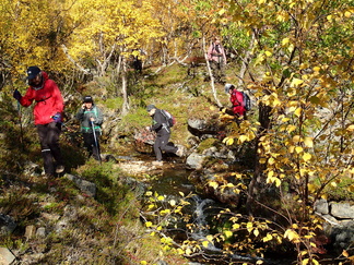 Puronvartta alas.